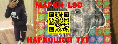индика Славгород