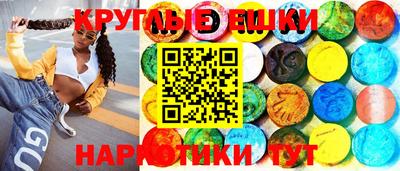 индика Славгород