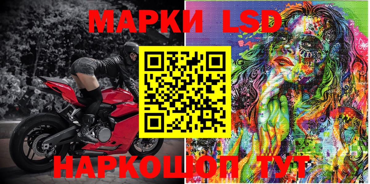 A PVP Новочебоксарск