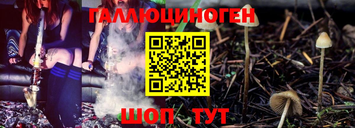 Новочебоксарск  Псилоцибиновые грибы GOLDEN TEACHER  Вход с VPN 